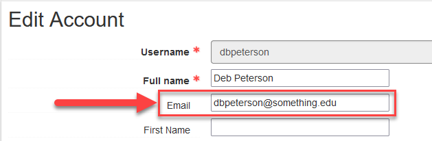 User email field